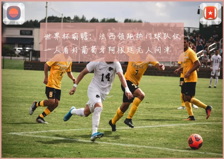 世界杯前瞻：法西领跑热门球队仅一人看好葡萄牙阿根廷无人问津